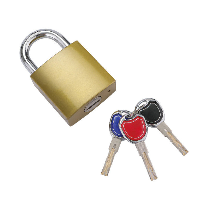 Arc Type Lexus Cylinder Iron Padlock