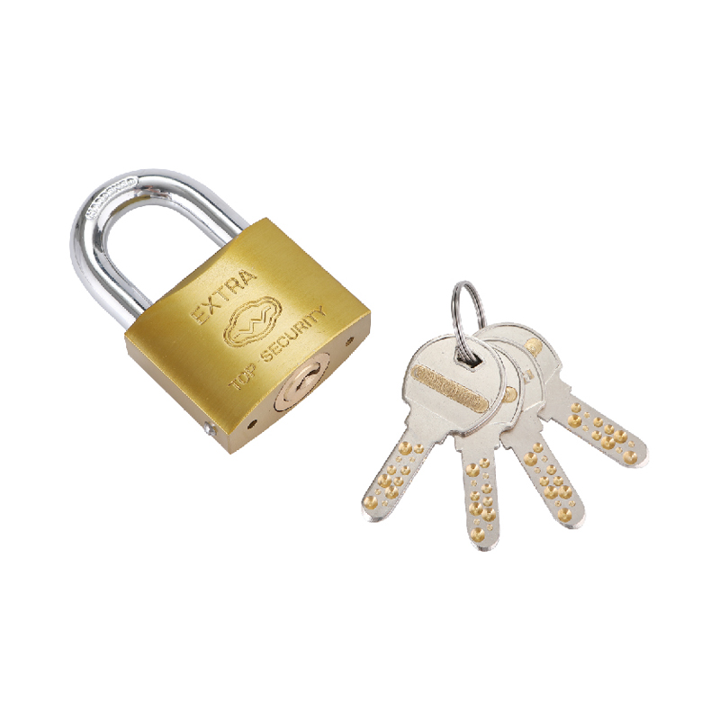 Computer Key Decorated Cylinder Arc Type lron Padlock